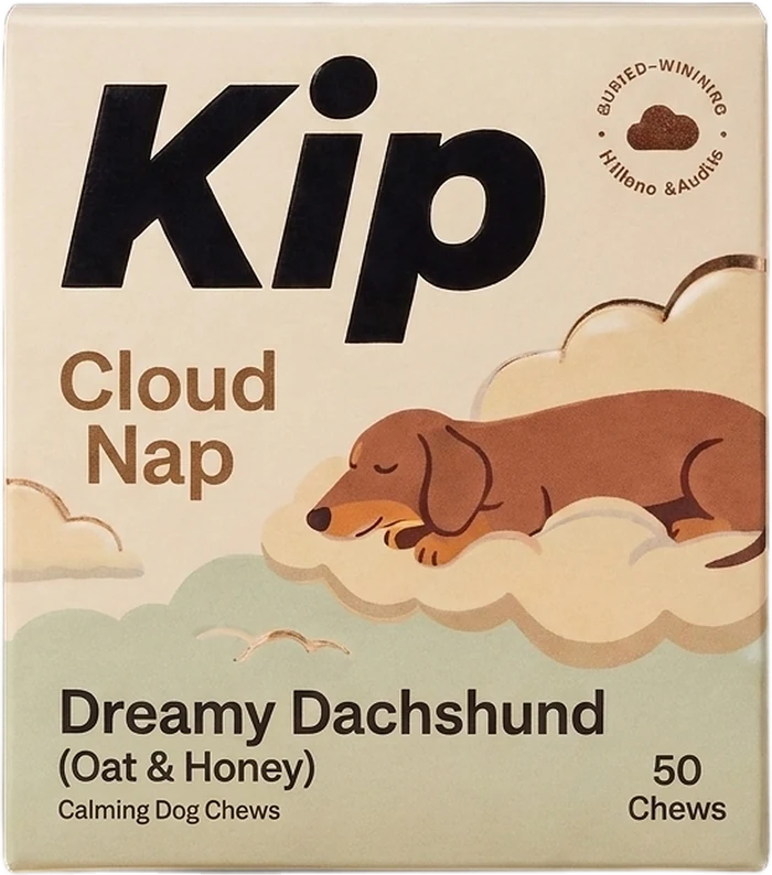 Dreamy Dachshund carton