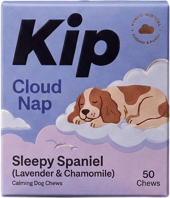 Sleepy Spaniel carton
